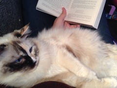 Don't let your clits get twitchy and do anything to avoid a boil in the bag fanny. BFP wholesale van rolling in to deliver to all the viroids - no superstition, JUST SHAGGING! (Part 39)