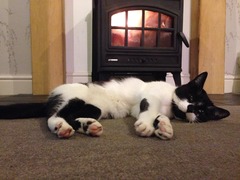 Don't let your clits get twitchy and do anything to avoid a boil in the bag fanny. BFP wholesale van rolling in to deliver to all the viroids - no superstition, JUST SHAGGING! (Part 39)