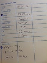 12 week scan report is scaring me - can anyone help interpret?