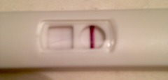 Bfp or evap?