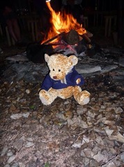 To return the class bear with a note saying thanks, but no thanks