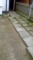 Help! Gardening 101 for this Idiot