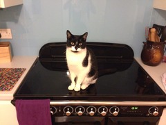 Don't let your clits get twitchy and do anything to avoid a boil in the bag fanny. BFP wholesale van rolling in to deliver to all the viroids - no superstition, JUST SHAGGING! (Part 39)