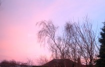 Anyone else looking at the stunning sunset?