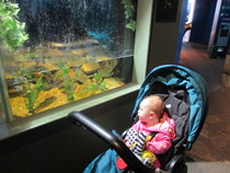 September 14 babies - bring on the weaning!