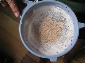 Wholemeal flour BB date Oct 14 - would you use it?