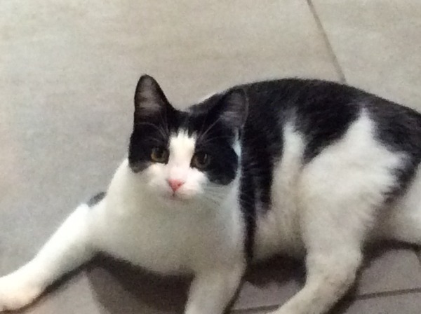 We let our miroids tie us up, and pee while we're in the tub, and the grads often visit, so we can give their bumps a rub! We've a syncro pee approaching, so here's hoping, for a BFP filled JS No 42!!