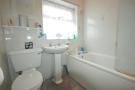 Choosing a bath and shower