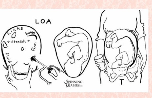 April 2015 Thread 13: The babies are creeping in one by one and the gardens really need seeing to!