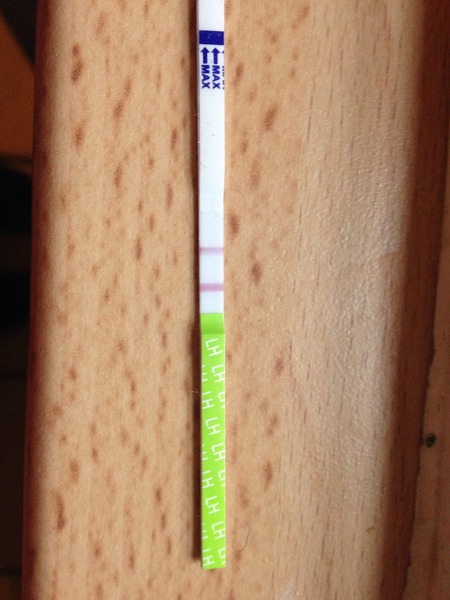 We let our miroids tie us up, and pee while we're in the tub, and the grads often visit, so we can give their bumps a rub! We've a syncro pee approaching, so here's hoping, for a BFP filled JS No 42!!