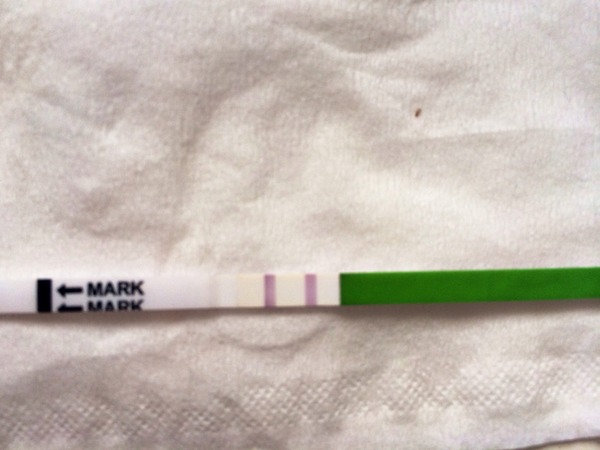 The Bumsnet/Angry Pubes Bus