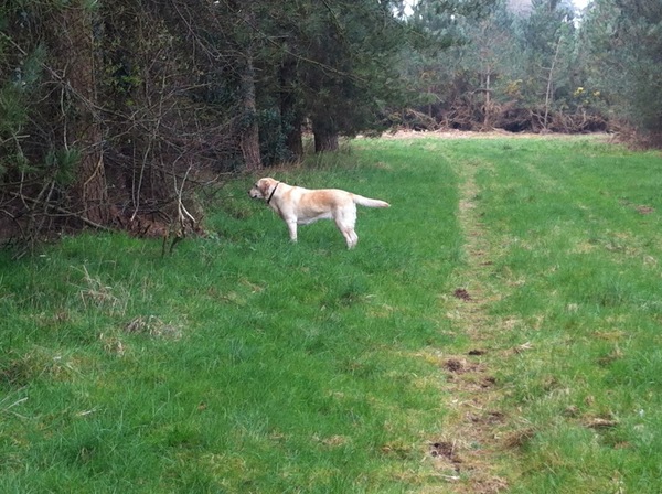 5:2 Thread number 50: Did you try every diet in the book, then ate the book and it tasted better ?  5:2 / IF is a healthy sustainable way to lose weight, while still enjoying your meals. Join us !