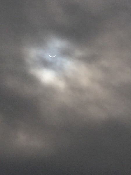 The March Bus continues.....will the Eclipse bring us more bfp's!