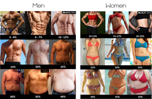Losing the last few % of body fat - tips please