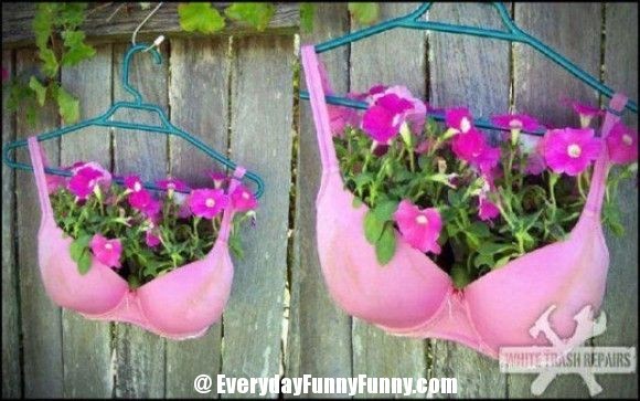 to not stop hanging my bras on the line