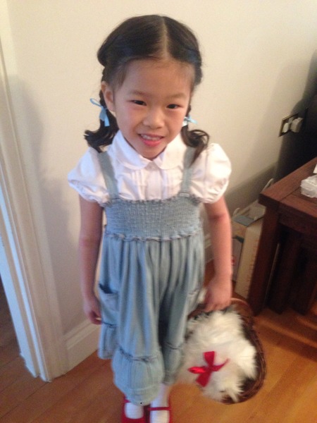 World Book Day costumes - share pics of this year's costumes to win a bumper crop of WBD goodies.