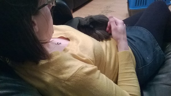 newly adopted Piggies