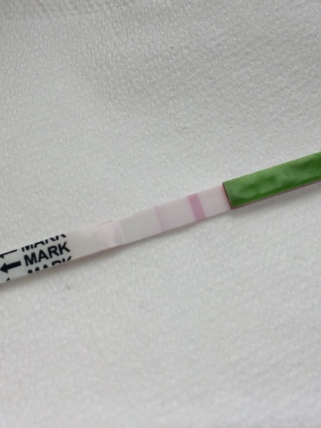 Recurrent Miscarriage Support Thread 19 - tests, treatment, trying again.