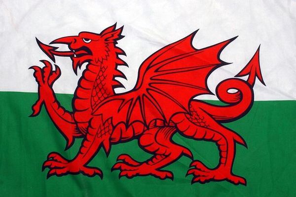 Cymru am Byth - get your St David's Day daffodils here.