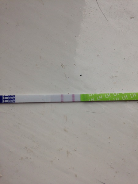 We let our miroids tie us up, and pee while we're in the tub, and the grads often visit, so we can give their bumps a rub! We've a syncro pee approaching, so here's hoping, for a BFP filled JS No 42!!