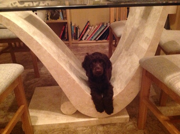 The Brave Babes Battle Bus -  The Wheels On This Bus Go Around And Around, In Search Of Sobriety.