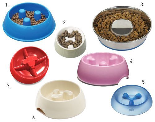 Can anyone advise me about my cat's diet?
