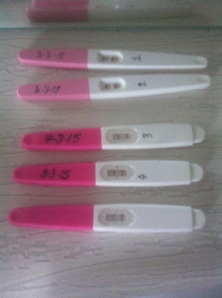 Bleeding in early pregnancy after 2misscarriages test still showing Posative