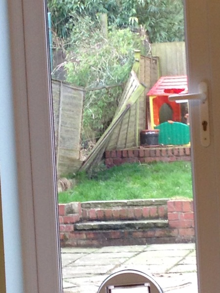 April 2015 Thread 15: Babies galore!