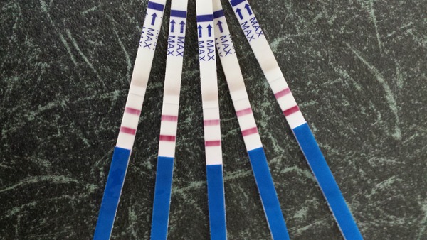 The best shit place to be grads - Early pregnancy after miscarriage - hopes and fears