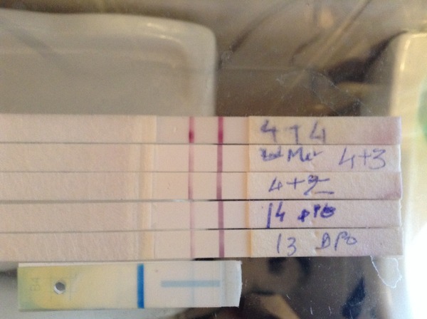 November 2015 - Turning BFPs into Babies!