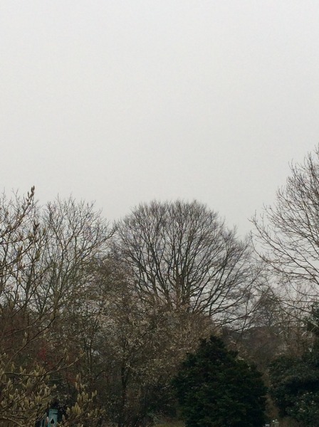 Partial solar eclipse for the UK ~ Friday 20th March, 2015