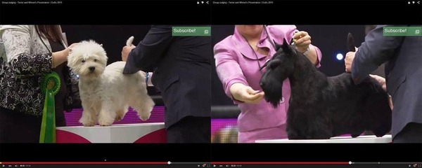 Crufts
