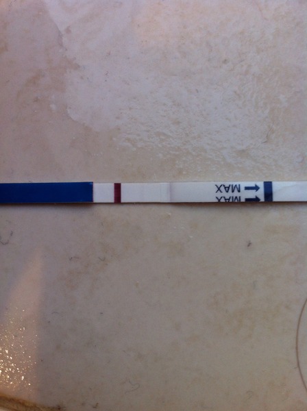 Life's a bitch but we keep on shagging! We've stocked up on gin and pics of cats! If your Miroid can't give you the big "O" then LTB and come join us! 50 shade's got nothing on us! It's JS'ing 40!!!!!