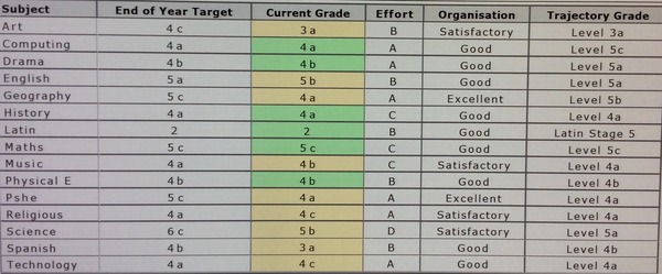 Don't really know what to make of year 7 short report