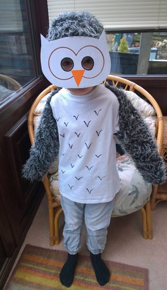 World Book Day costumes - share pics of this year's costumes to win a bumper crop of WBD goodies.