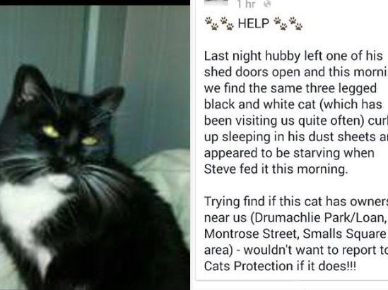 To be pissed off that someone has accused me of being cruel to my cat on a local FB page?