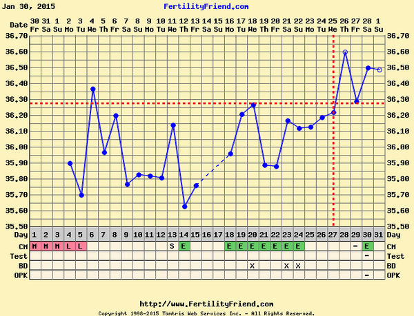 Can't make sense of my cycle