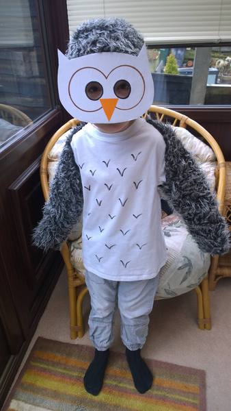 World Book Day costumes - share pics of this year's costumes to win a bumper crop of WBD goodies.