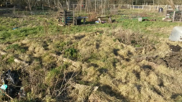 The 2015 Allotment / Veg Patch Thread - it's here!