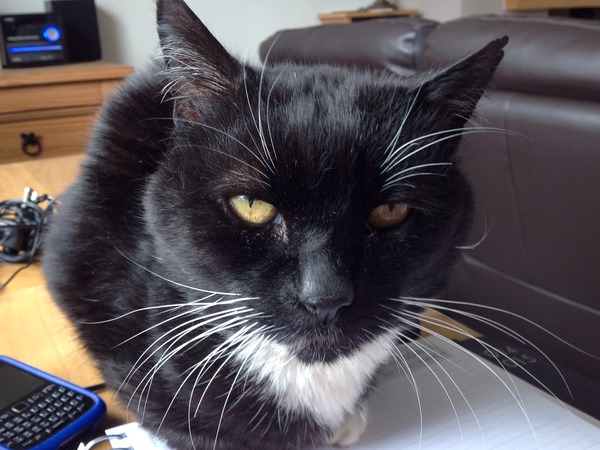 April 2015 Thread 12: Where are the carseats and are the bags packed, the babies are threatening to make an entrance!