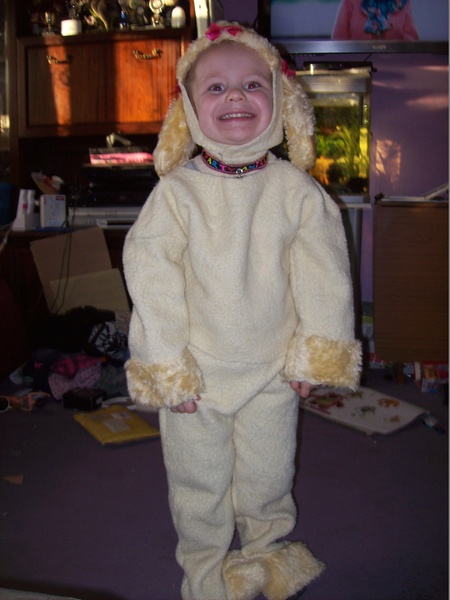 World Book Day costumes - share pics of this year's costumes to win a bumper crop of WBD goodies.