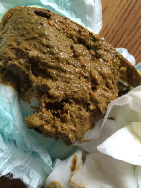 Tmi photo alert! Is this poo normal? 11mo with suspected intolerances