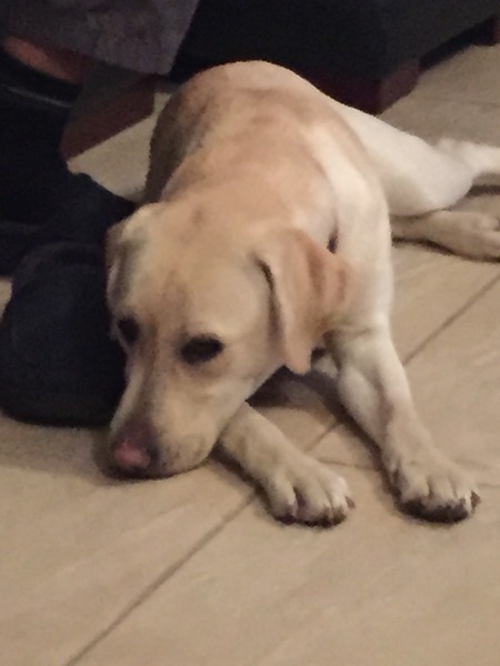 Penelope/penny?