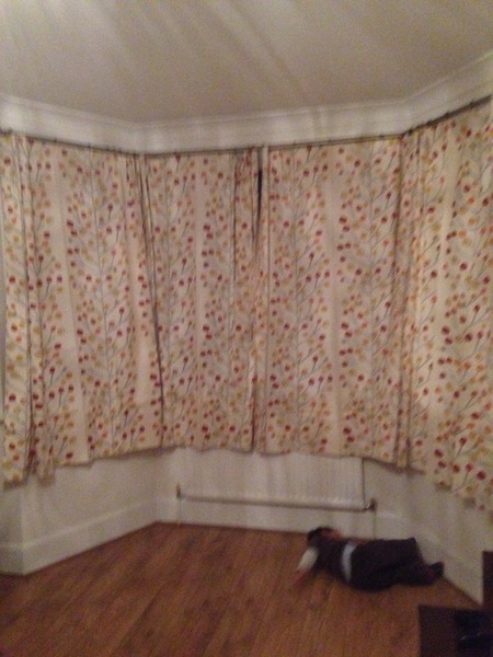 Blinds, curtains or shutters??