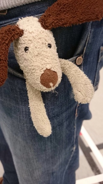 Lost toy