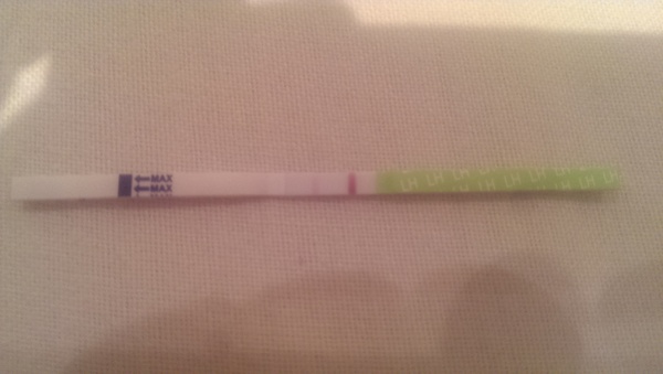 The Bumsnet/Angry Pubes Bus