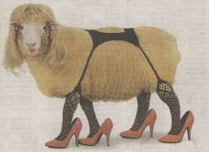 What qualifies as 'mutton dressed as lamb'?
