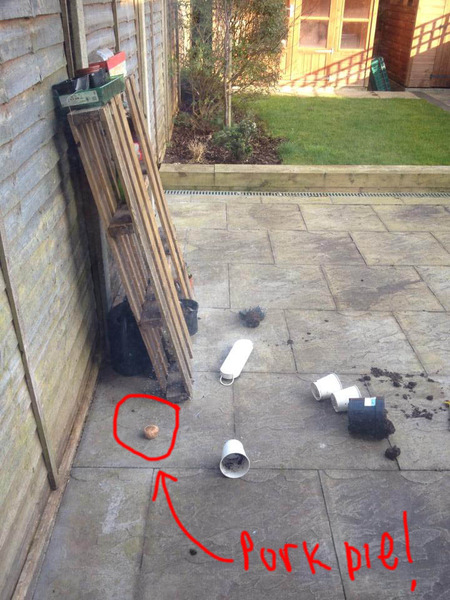 AIBU to be a bit freaked out by the random pork pie in my garden?