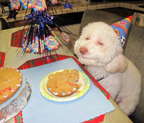 Mumsnet is 15 years old today - happy birthday to us all!