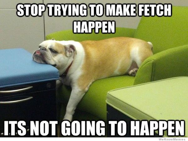 Feminism is over... according to women